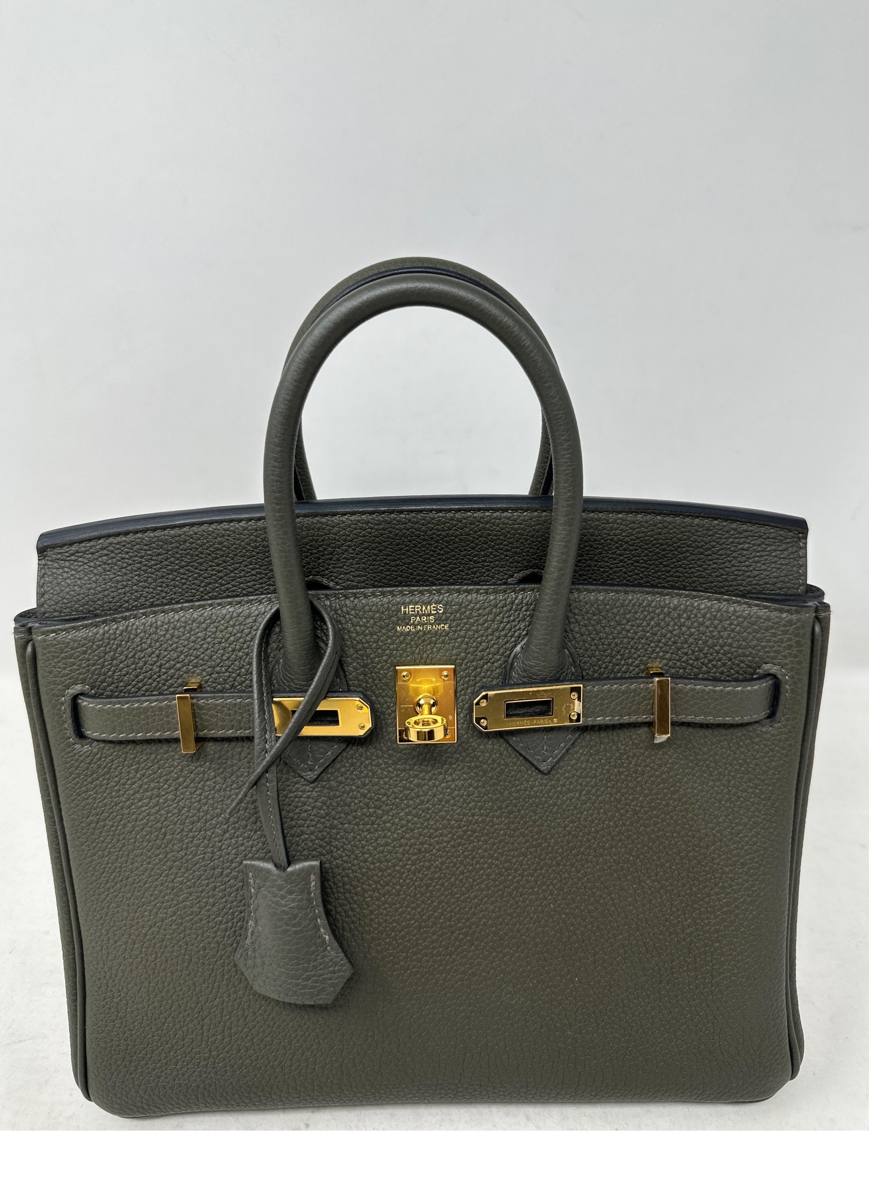 Hermes Vert De Gris Birkin 25 Bag For Sale 16