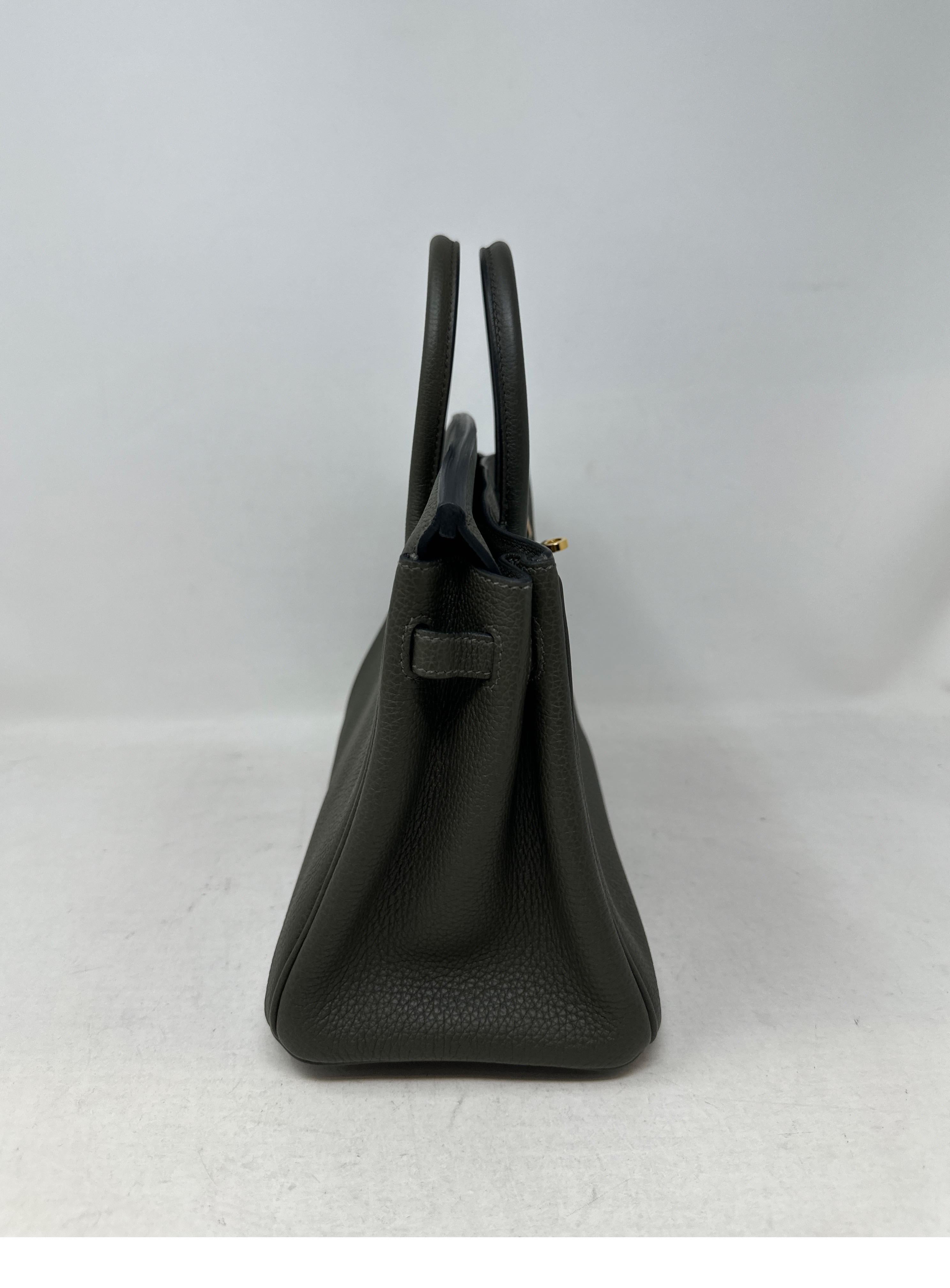 Hermes Vert De Gris Birkin 25 Bag In New Condition For Sale In Athens, GA