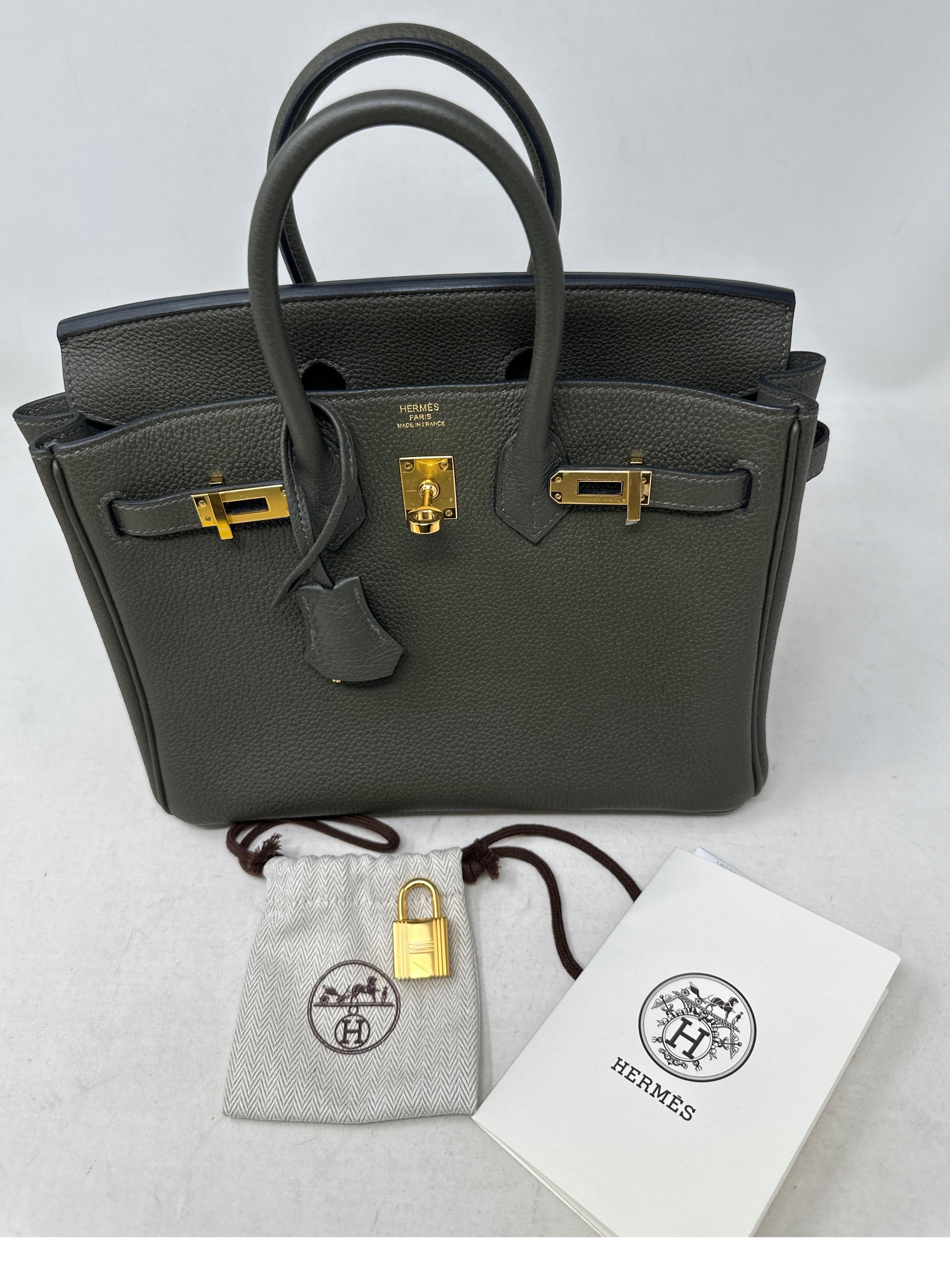 Hermes Vert De Gris Birkin 25 Bag For Sale 2
