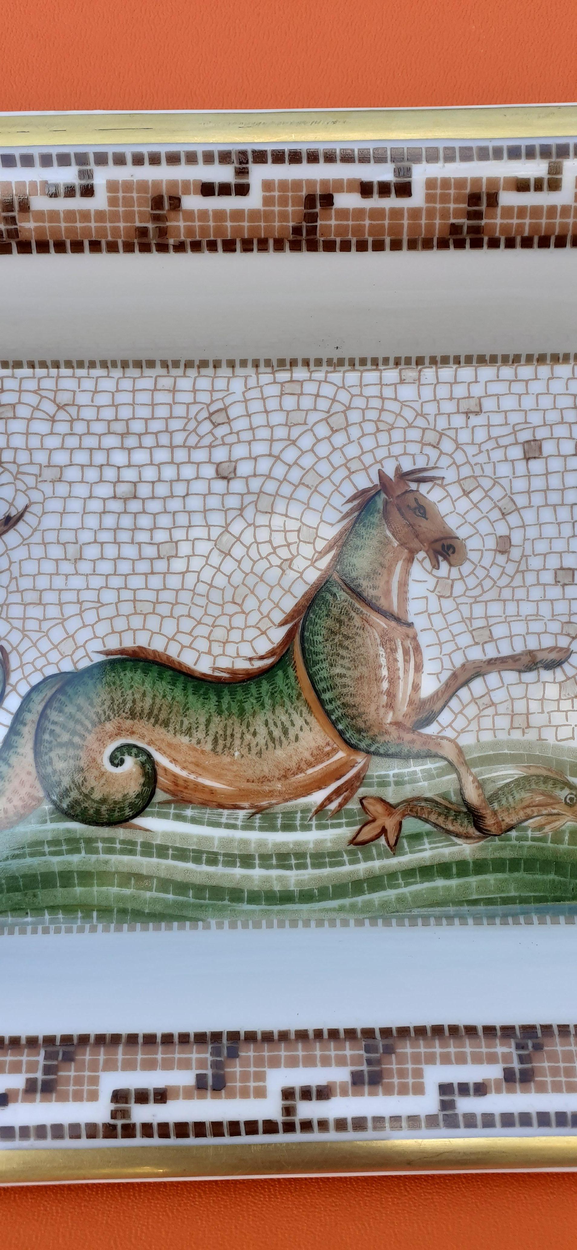 seahorse myths