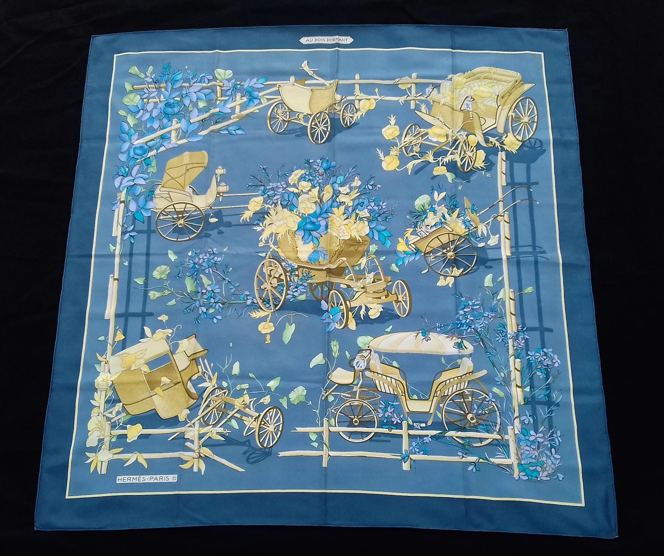 Stunning Authentic Hermès Scarf

Pattern: 