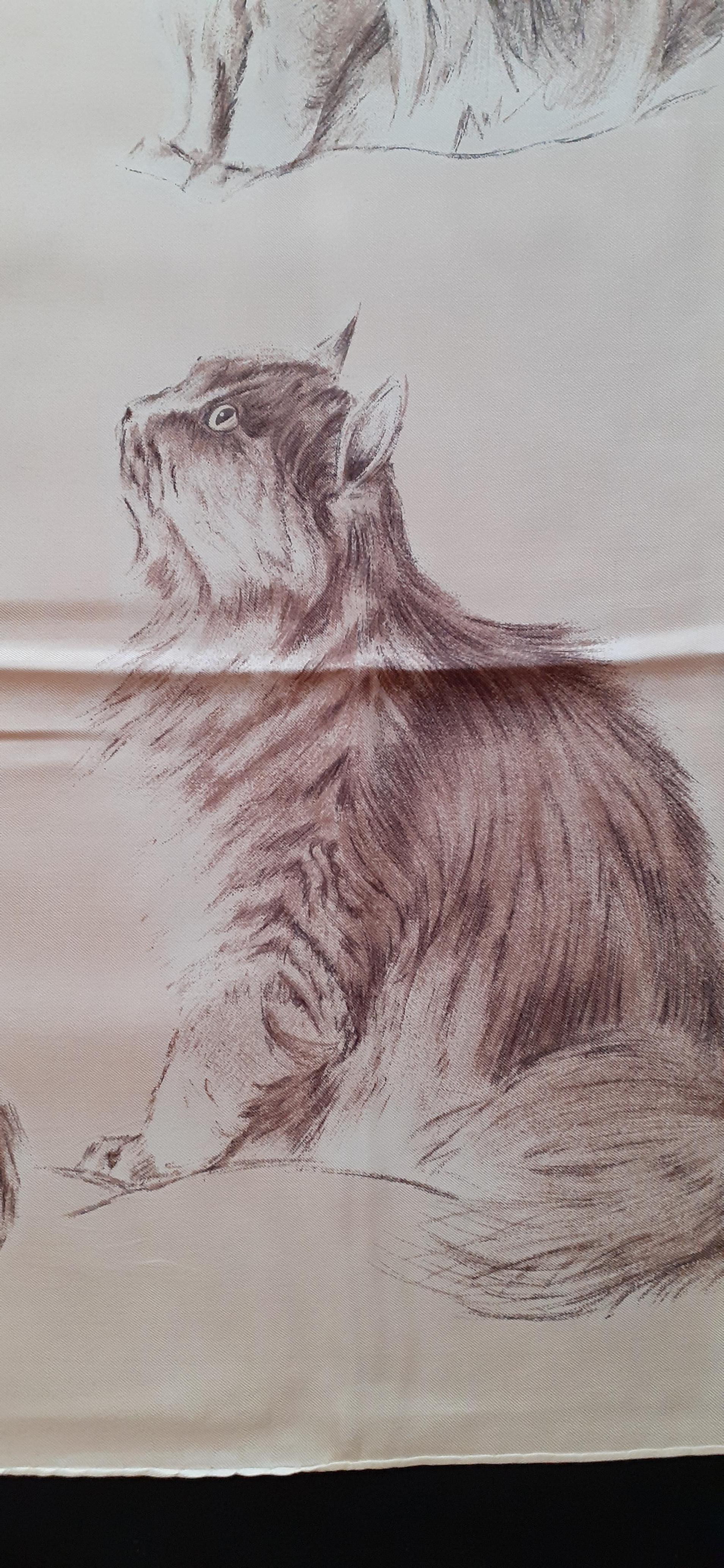 hermes cat scarf