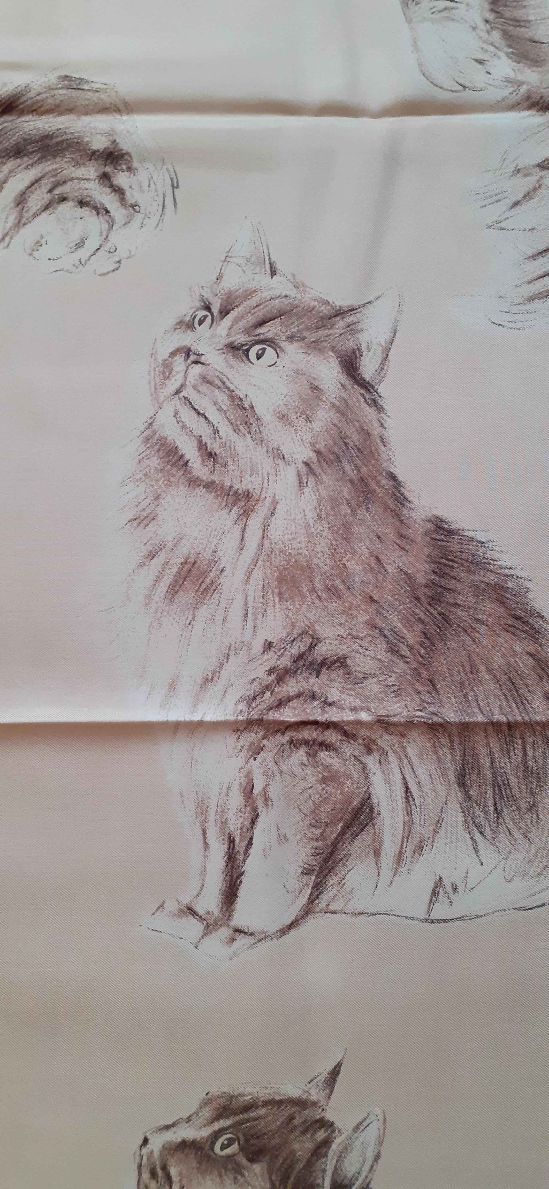 rare persian cat
