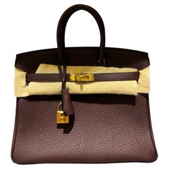 Hermrs Birkin 25 Tasche Rouge H mit goldenen Beschlägen