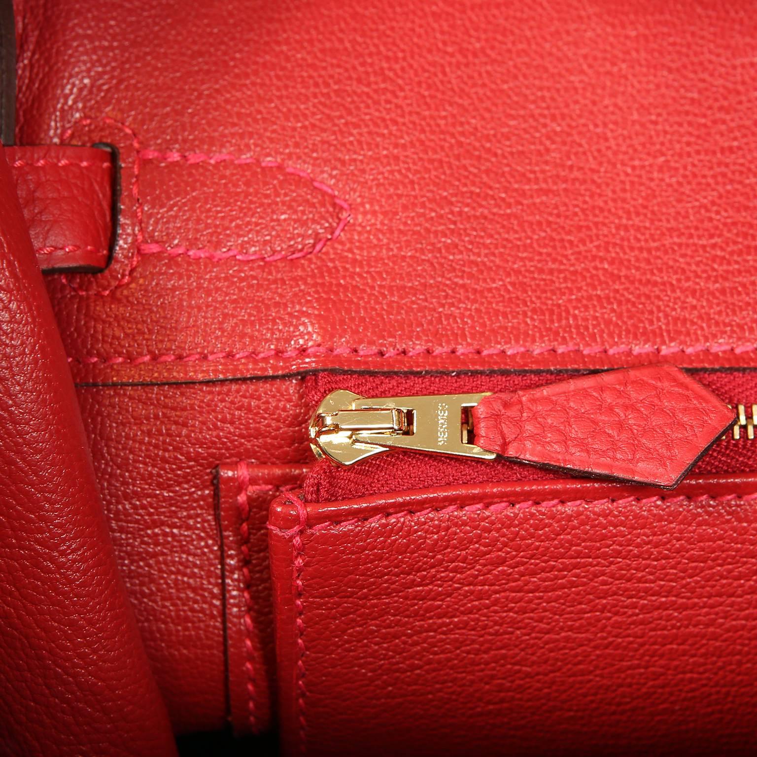 Hermès Rouge Garance Togo 25 cm Birkin Bag- Gold Hardware 3