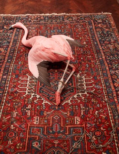 Fading pink (#1)