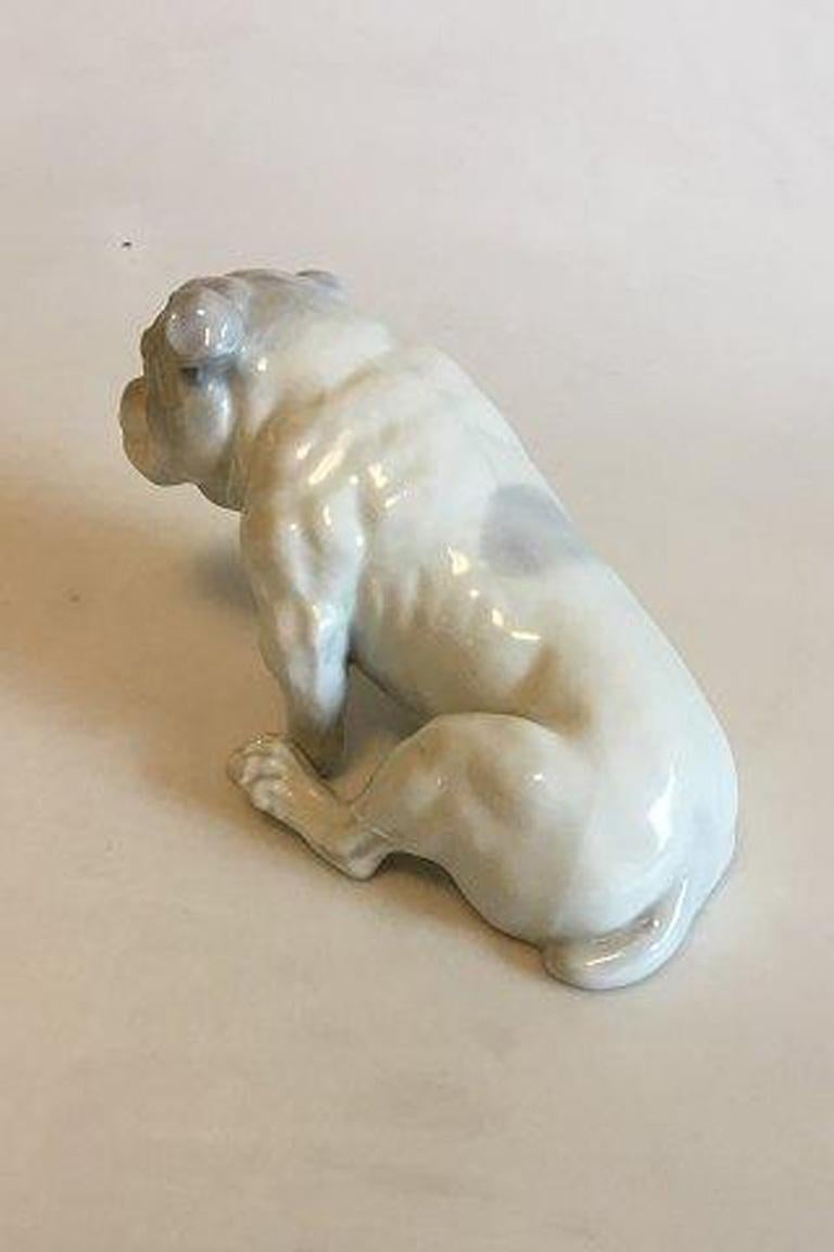 Figurina Heubach Lichte di Bulldog Inglese. 

Misura 21 cm / 8 17/64 in.

 