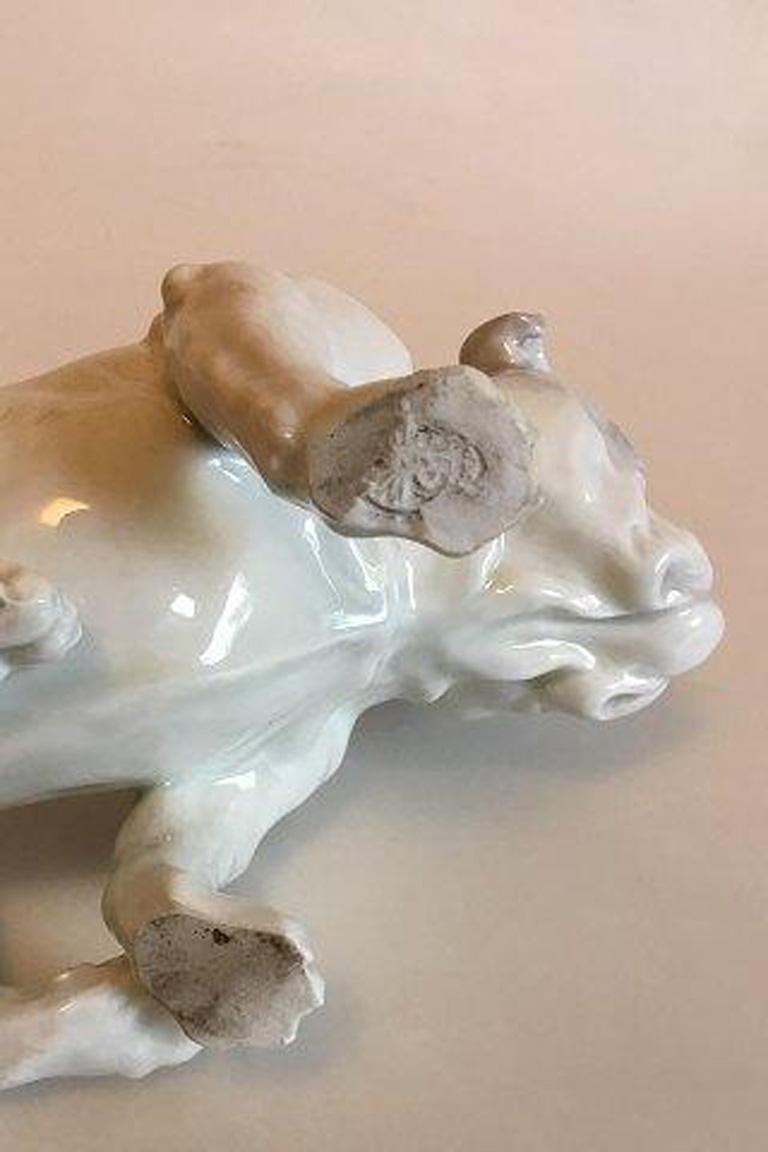 XX secolo Figurina di bulldog inglese Heubach Lichte in vendita