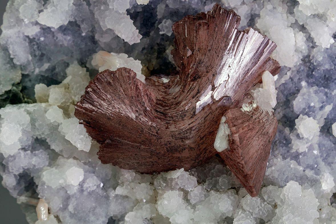 Grande cristallo di huelandite traslucido marrone cioccolato di 3 pollici con doppia terminazione a forma di U su quarzo druzy var. calcedonio in piccole formazioni stalattitiche rivestite dalla matrice. L'heulandite è in condizioni incontaminate,