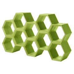 Hexa Lime Green Bookcase by Taeke Halma