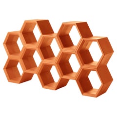 Hexa Pumpkin Orange Bookcase by Taeke Halma