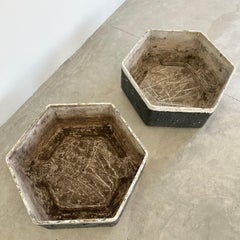 Maceteros hexagonales de Willy Guhl, años 60 Suiza