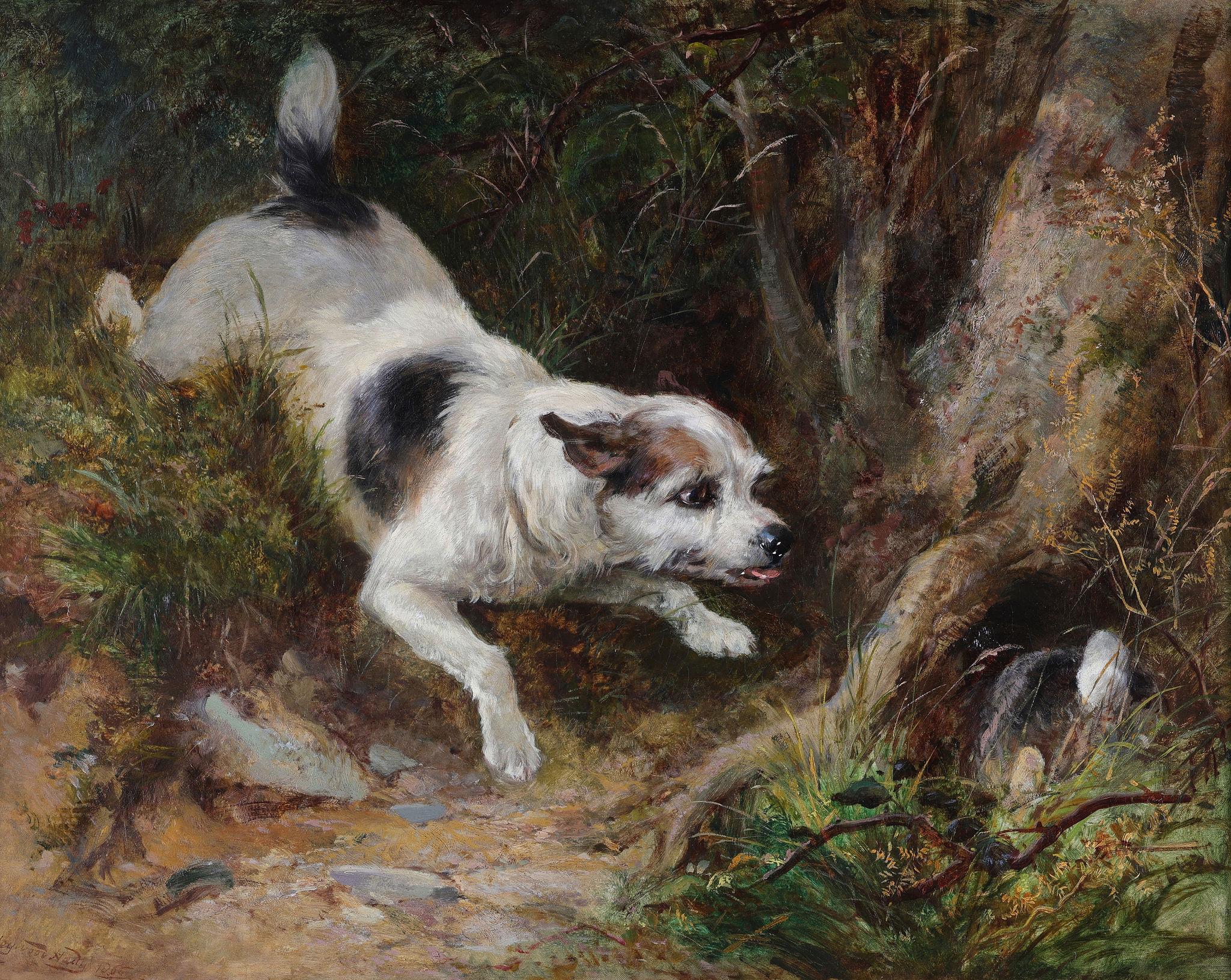 A Terrier chasing a Rabbit - Painting by Heywood Hardy