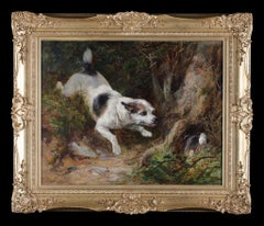 Un terrier fuyant un lapin