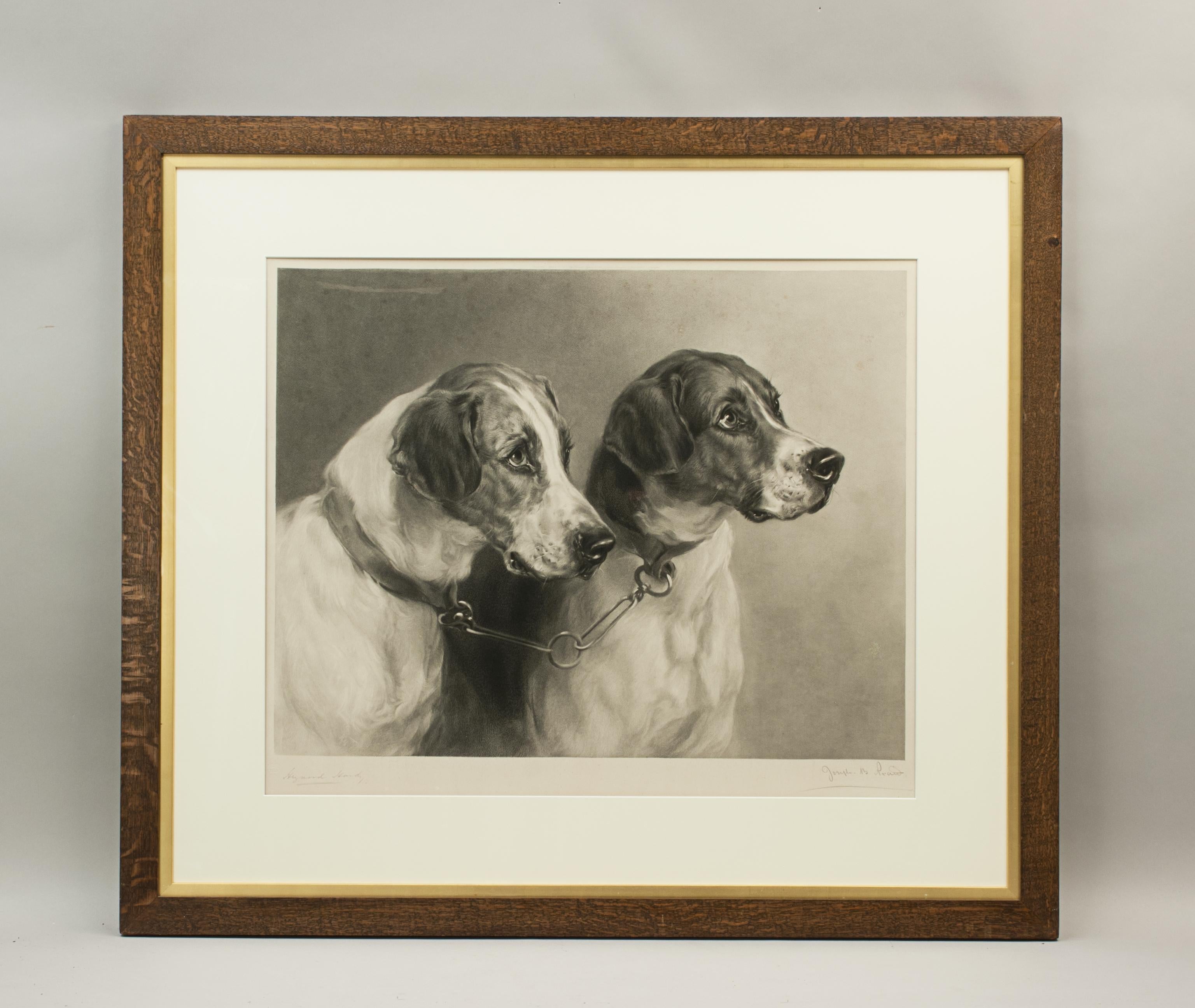 Pick of the Pack, Stormer and Grasper.
Antique hunting mixed-method engraving of a pair of hounds after the original art work by Heywood Hardy. An artist's proof engraved by Joseph Bishop Pratt (1854-1910) and published by Thomas Agnew & Sons. This