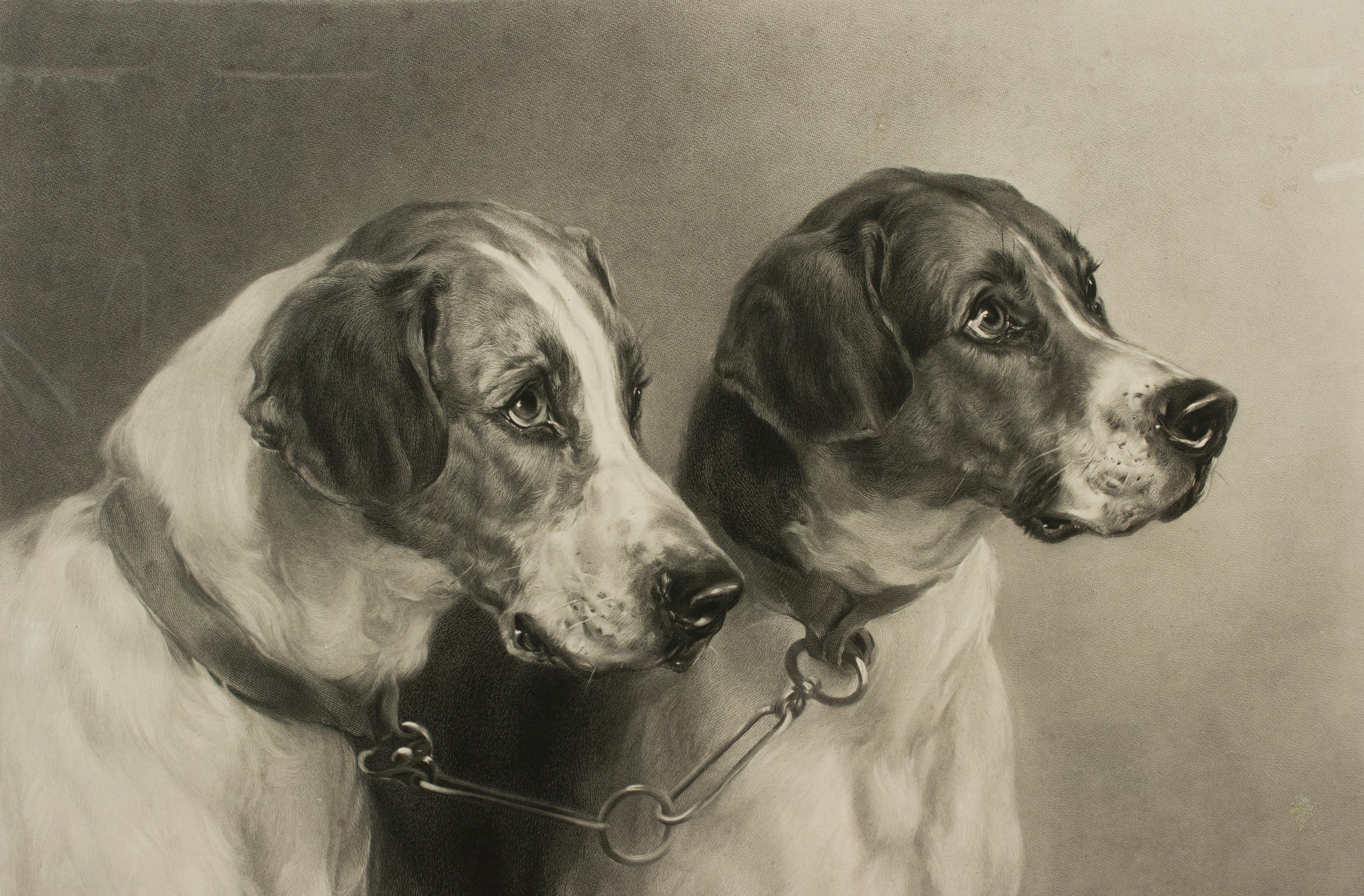 Sporting Art Heywood Hardy Pick of the Pack Dog Print, Stormer and Grasper