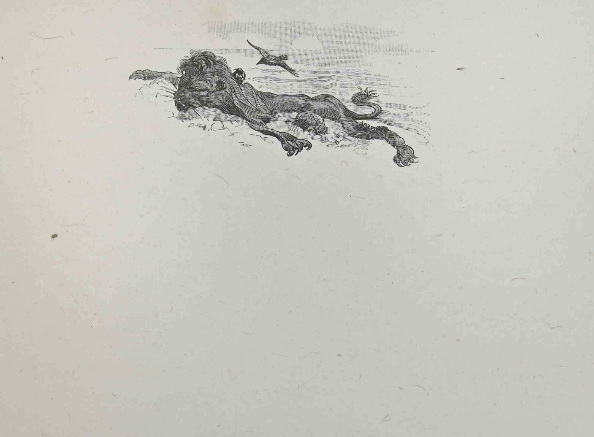 Dreaming Lion - Lithograph by Hégésippe Moreau - Early 20th Century