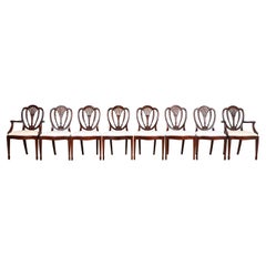 Hickory White Georgian Carved Mahogany Shield Back Dining Chairs, Set of Eight