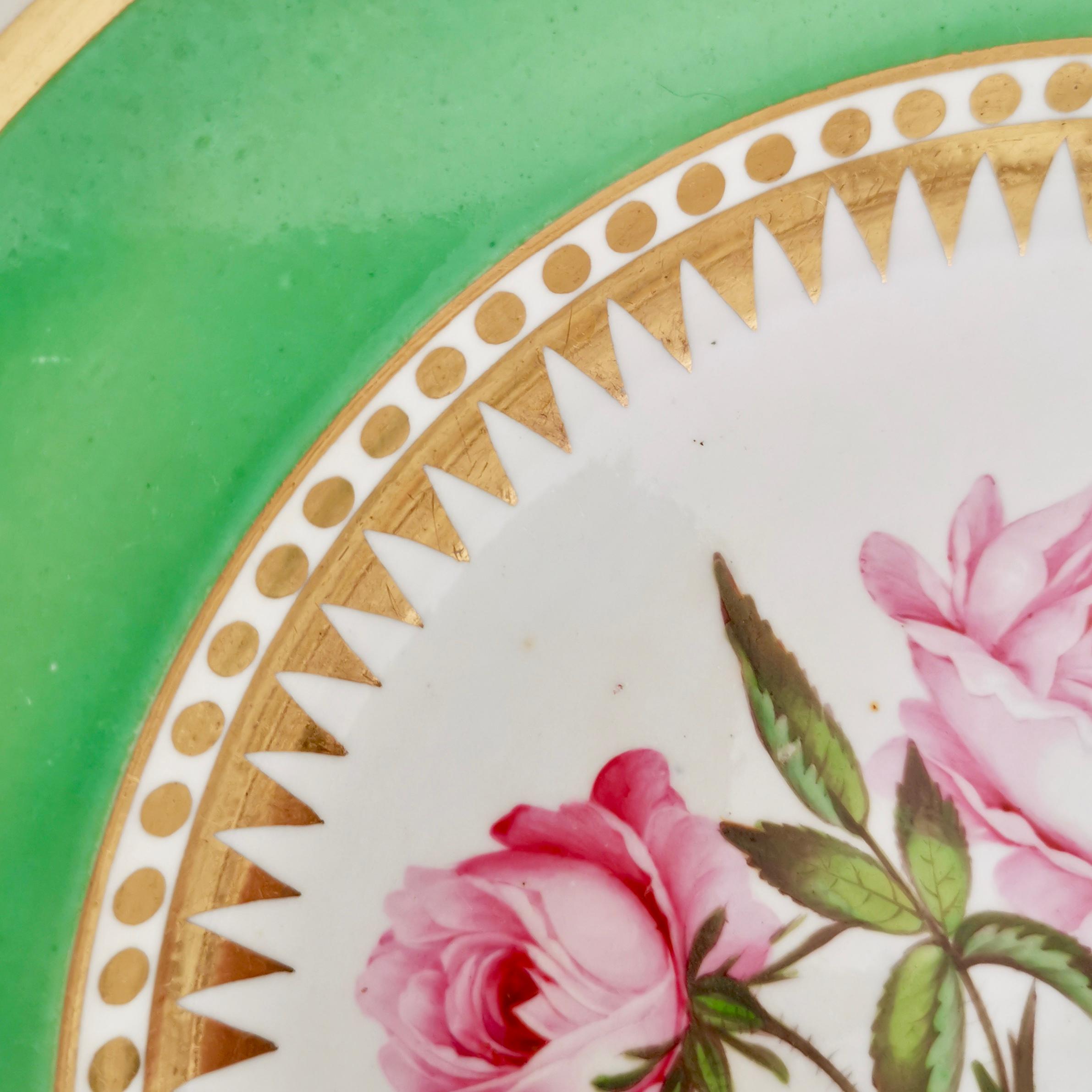 Early 19th Century Hicks & Meigh Porcelain Plate, Green with Hand Painted Rose, Regency circa 1820