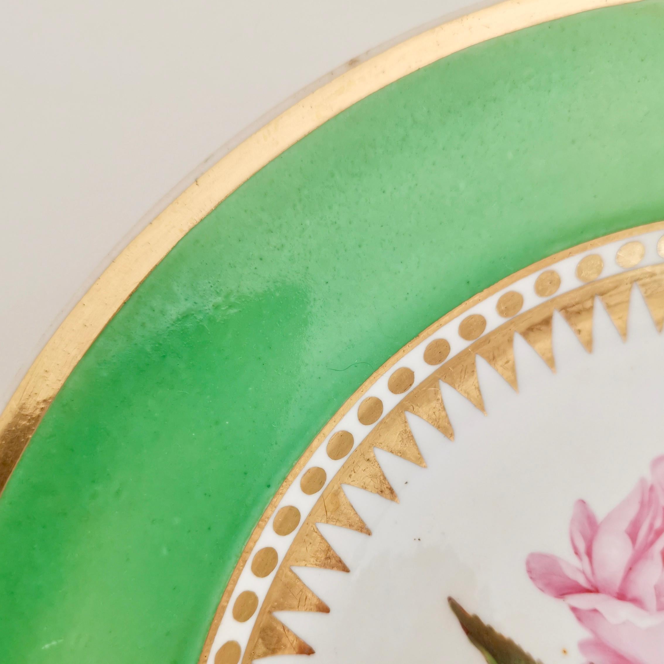 Hicks & Meigh Porcelain Plate, Green with Hand Painted Rose, Regency circa 1820 1