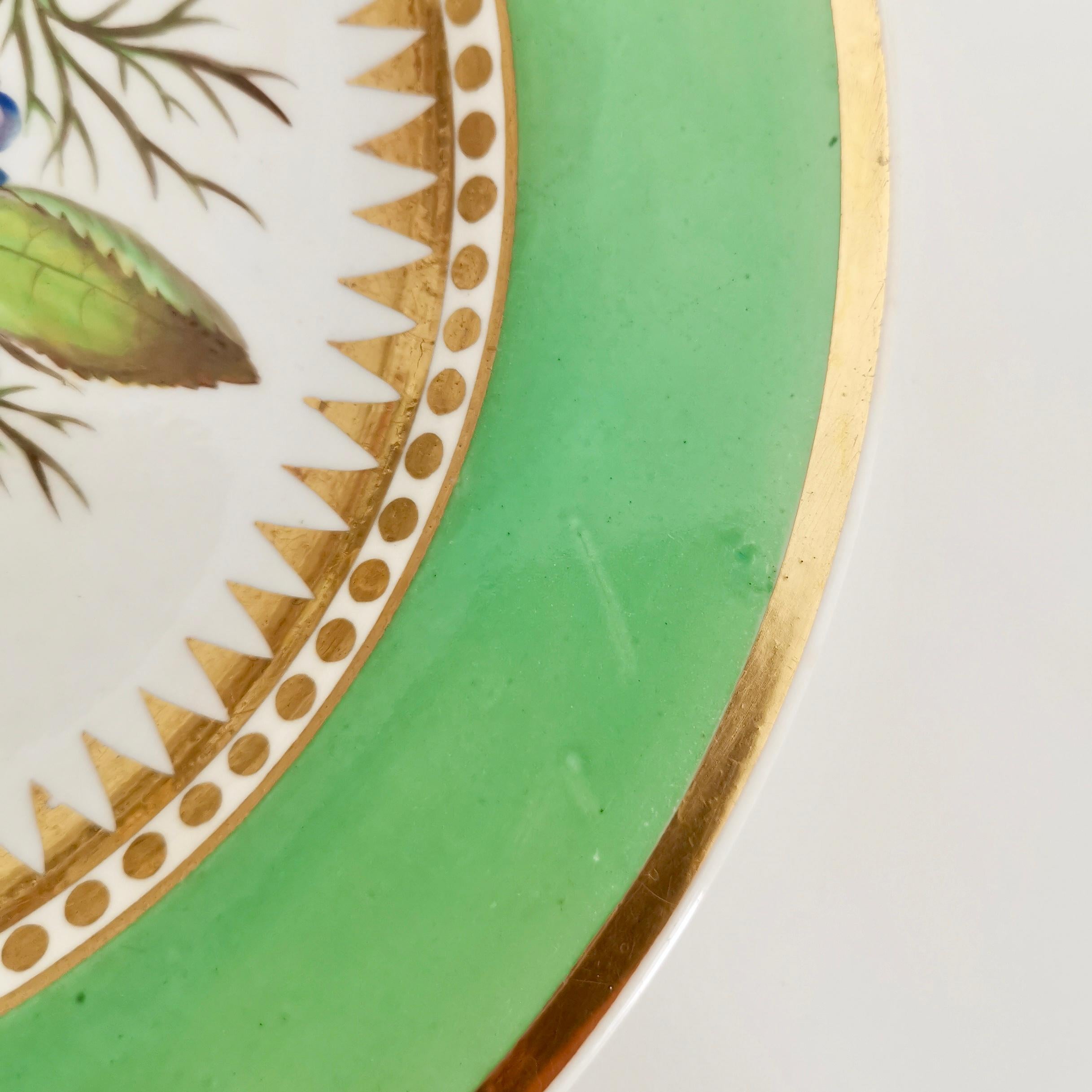 Hicks & Meigh Porcelain Plate, Green with Hand Painted Rose, Regency circa 1820 3