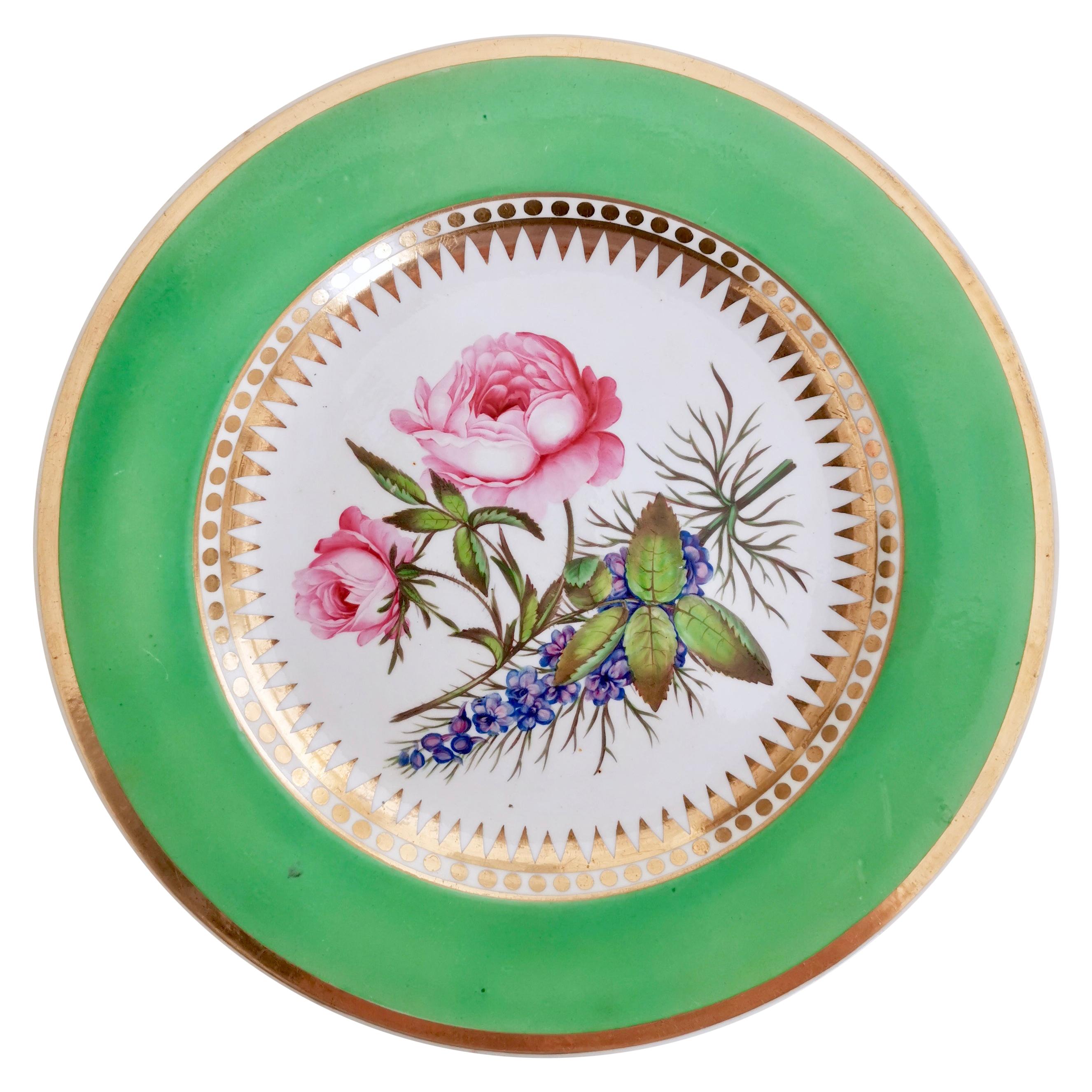 Hicks & Meigh Porcelain Plate, Green with Hand Painted Rose, Regency circa 1820