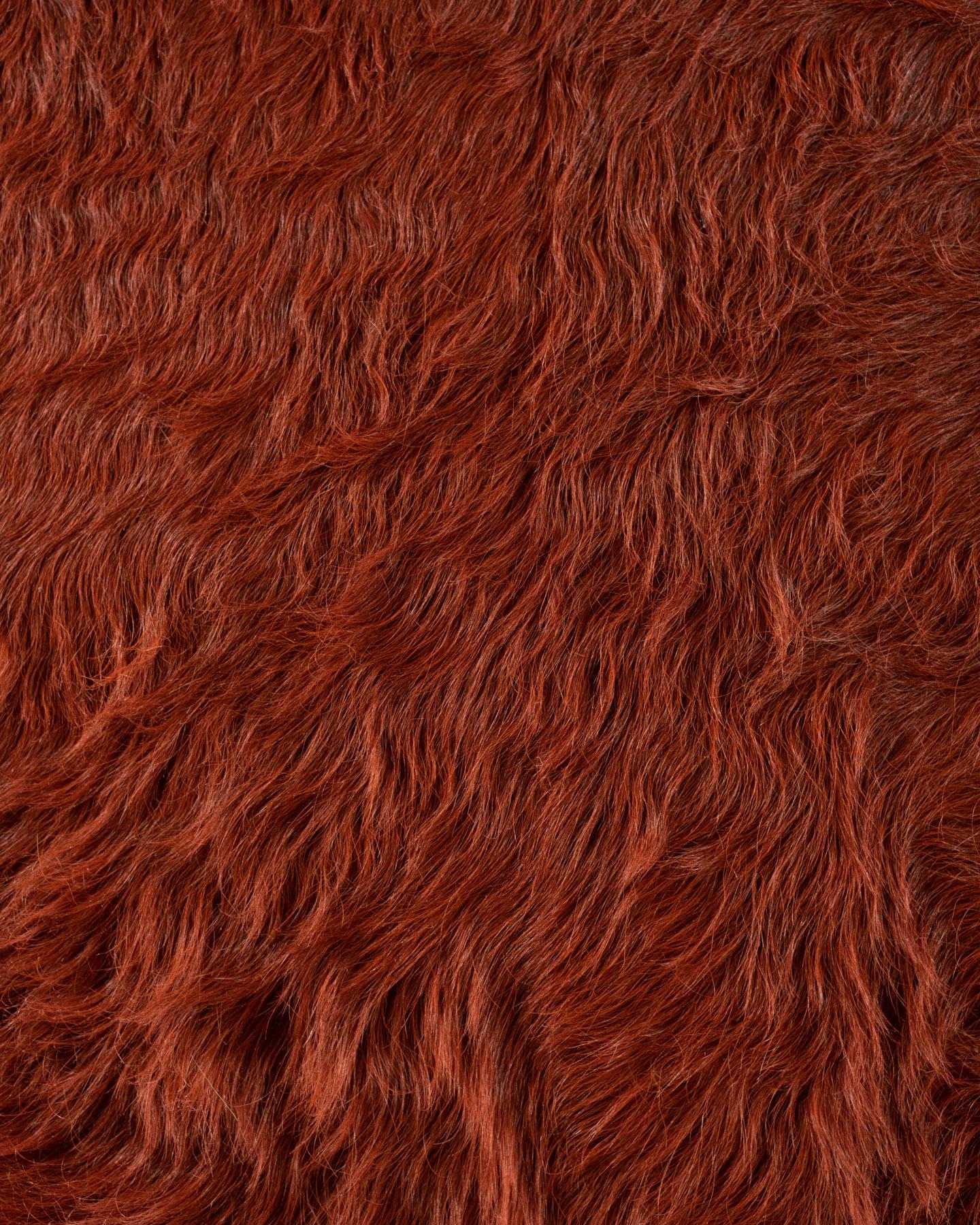 Tapis Hide par Douglas Friedman (10ft 10in x 7ft 8in) en vente 5