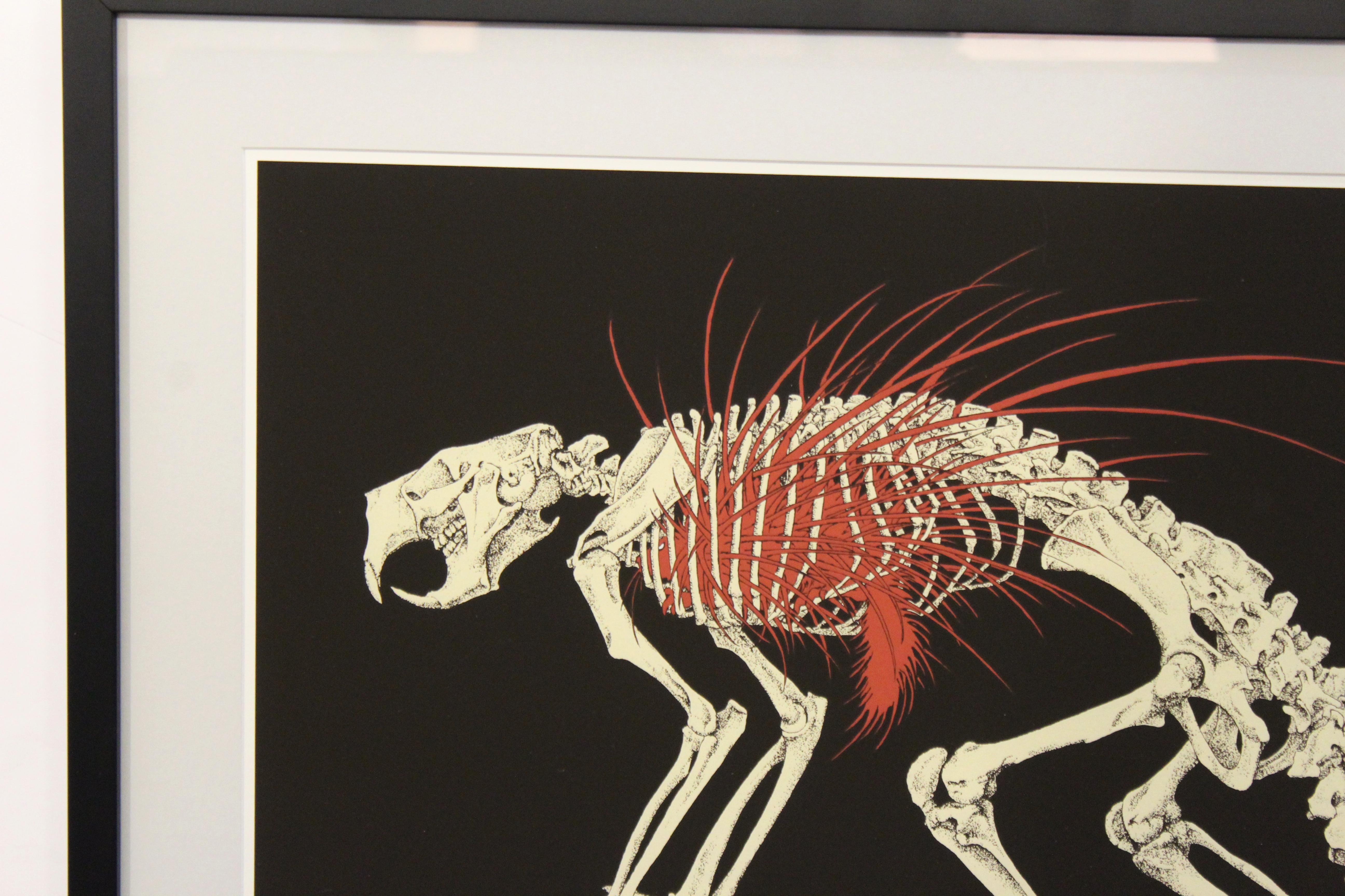 porcupine skeleton diagram