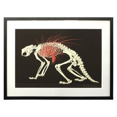 Hideo Takeda Japanese Porcupine Skeleton Silkscreen Print