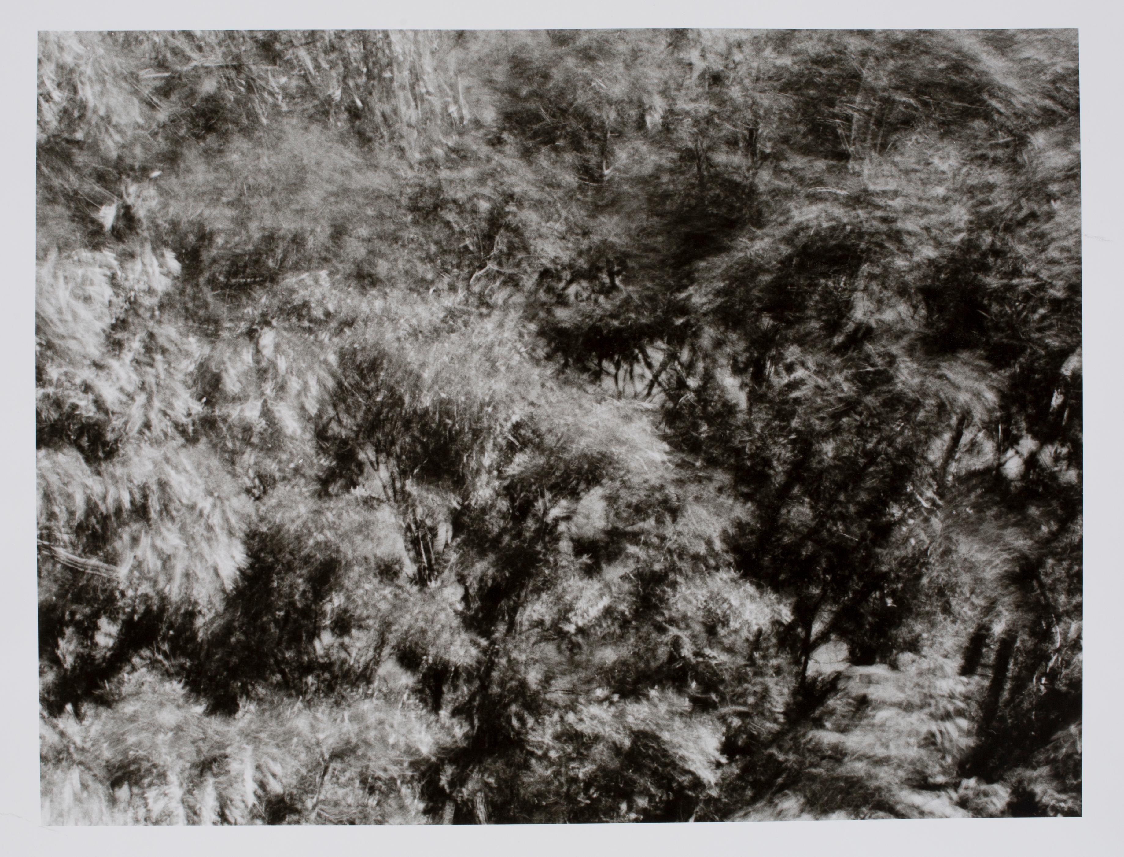 Hideoki Hagiwara Black and White Photograph - Hideoki, Black & White Photography, Backyard, 1988, 16" x 20"