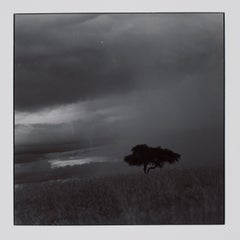 Retro Hideoki, Black & White Photography, Trees, Africa, 1994