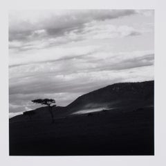 Retro Hideoki, Black & White Photography, Trees, Africa, 1994