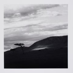 Vintage Hideoki, Black & White Photography, Trees, Africa, 1994