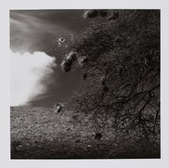 Hideoki, Black & White Photography, Untitled, Africa, 1994