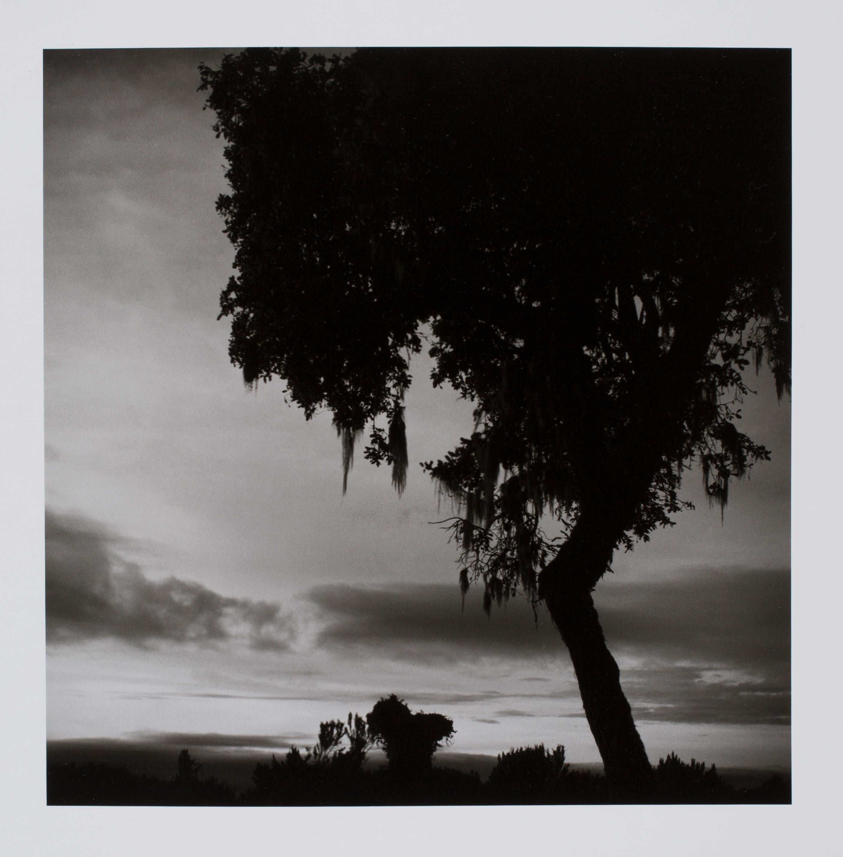 Hideoki Hagiwara Black and White Photograph - Hideoki, Black & White Photography, Landscape, Africa, 1994