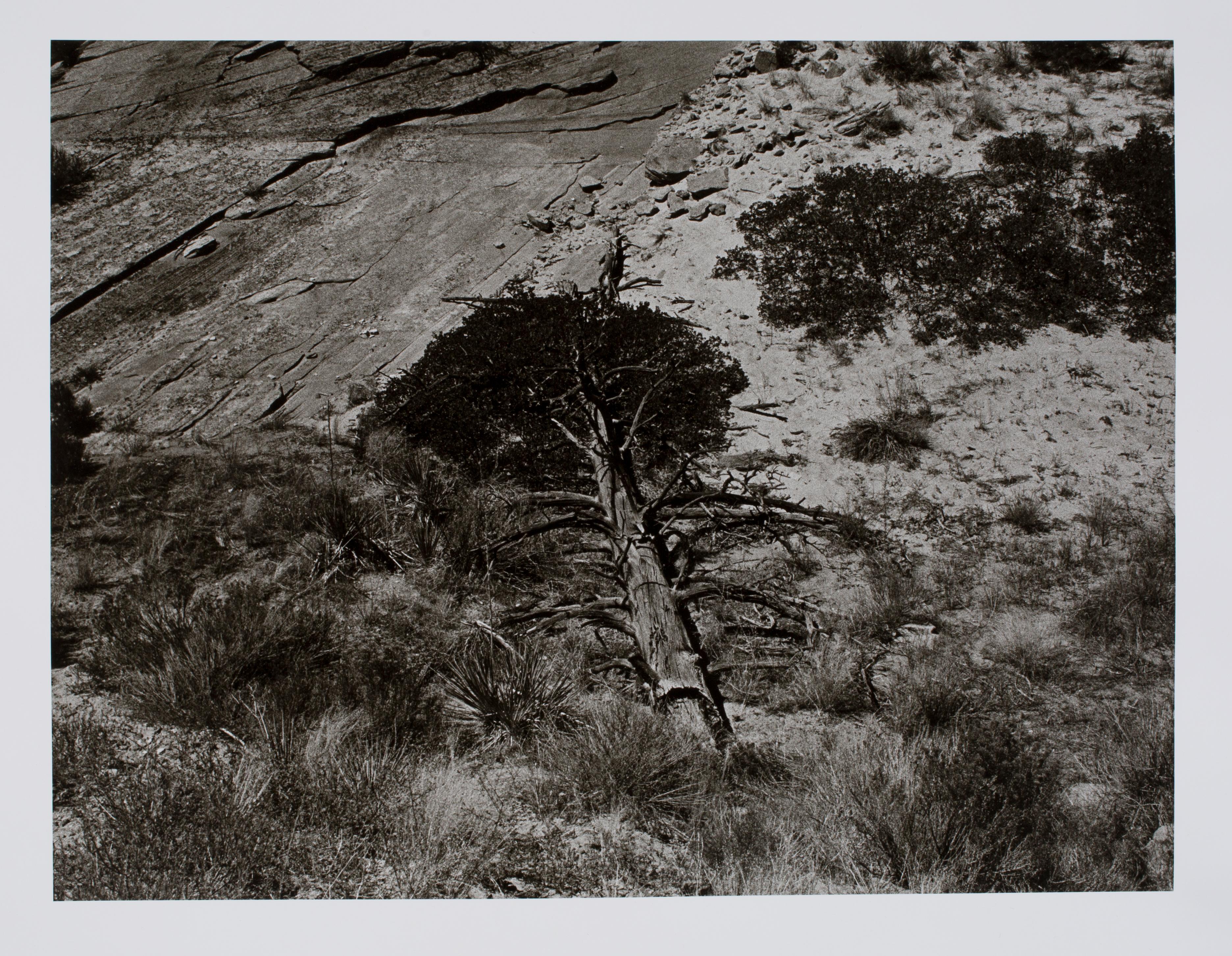 Hideoki Hagiwara Black and White Photograph - Hideoki, Black & White Photography, Untitled, Arizona, 2002