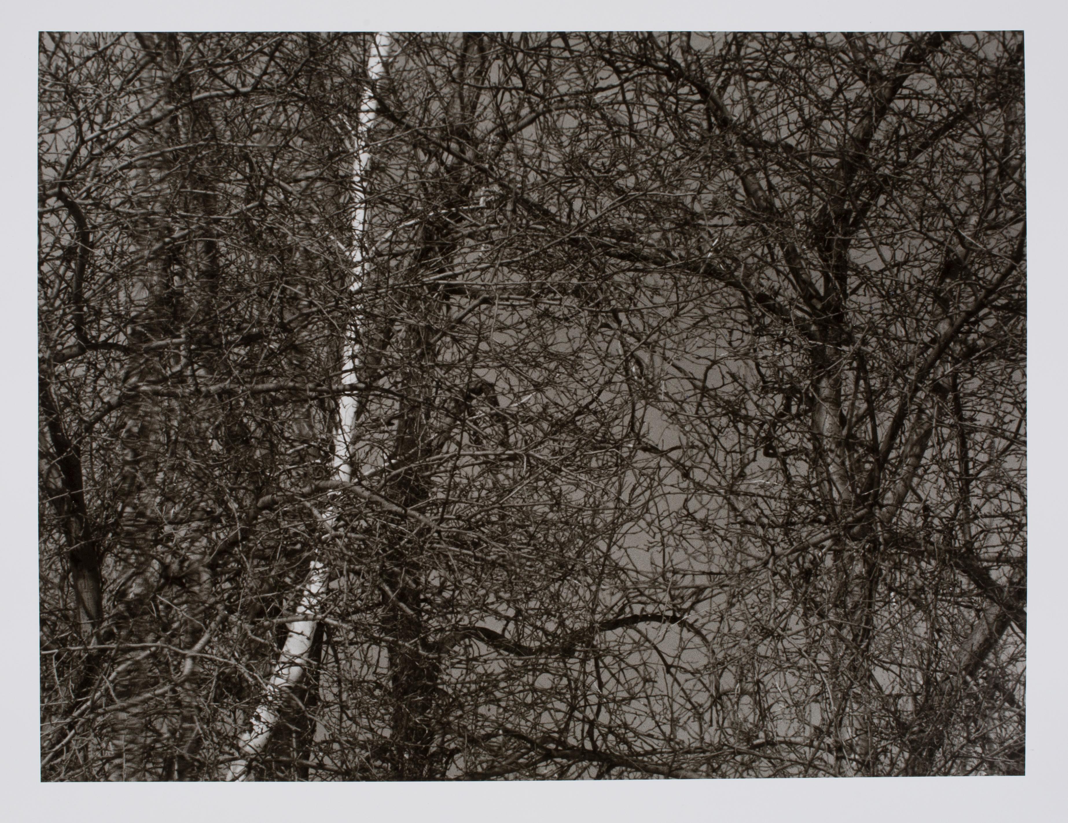 Hideoki Hagiwara Black and White Photograph - Hideoki, Black & White Photography, Untitled, Backyard, 1988