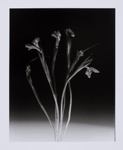 Hideoki, Black & White Photography, Untitled
