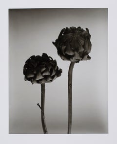 Hideoki, Black & White Photography, Untitled