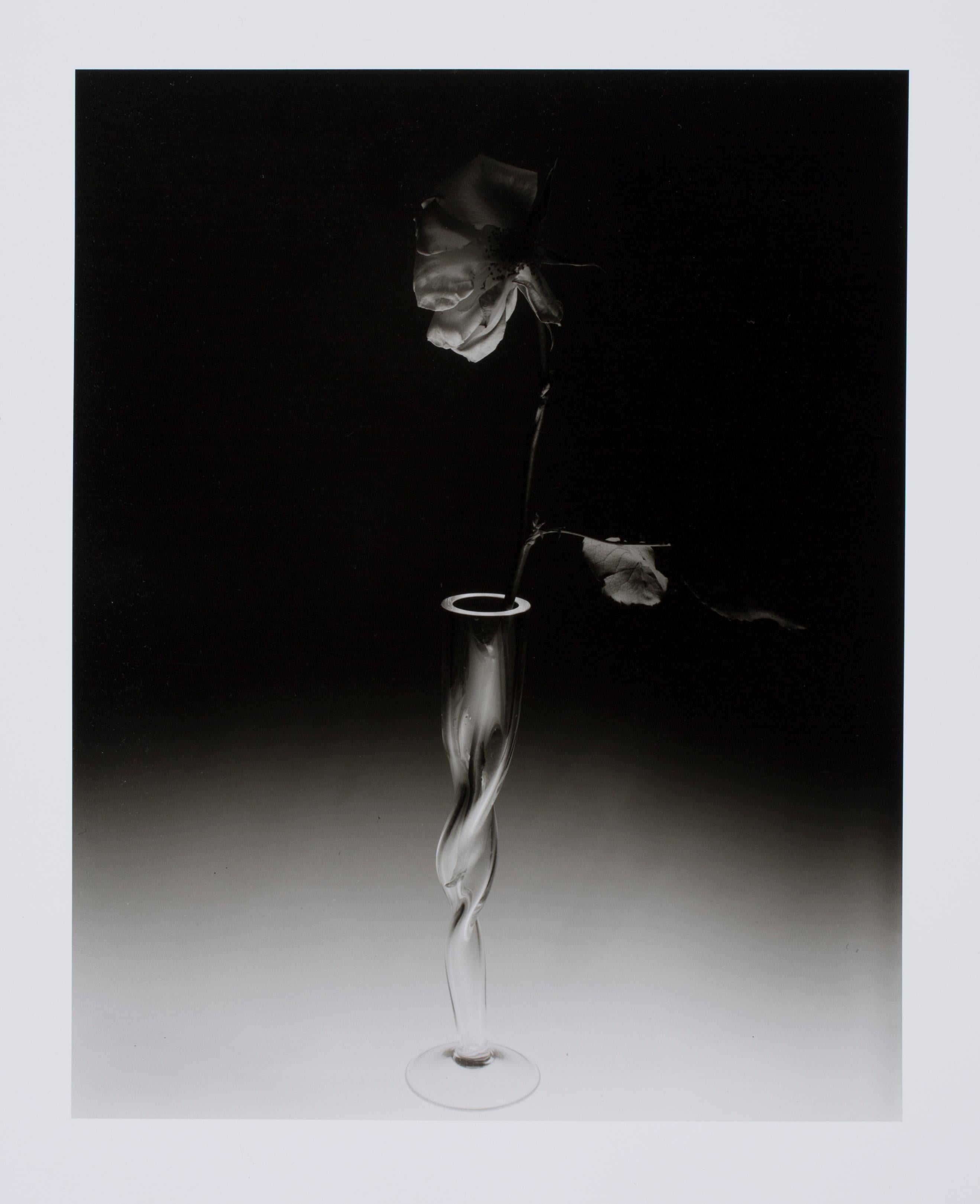 Hideoki Hagiwara Black and White Photograph - Hideoki, Black & White Photography, Untitled