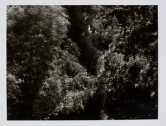 Hideoki, Black & White Photography, Untitled