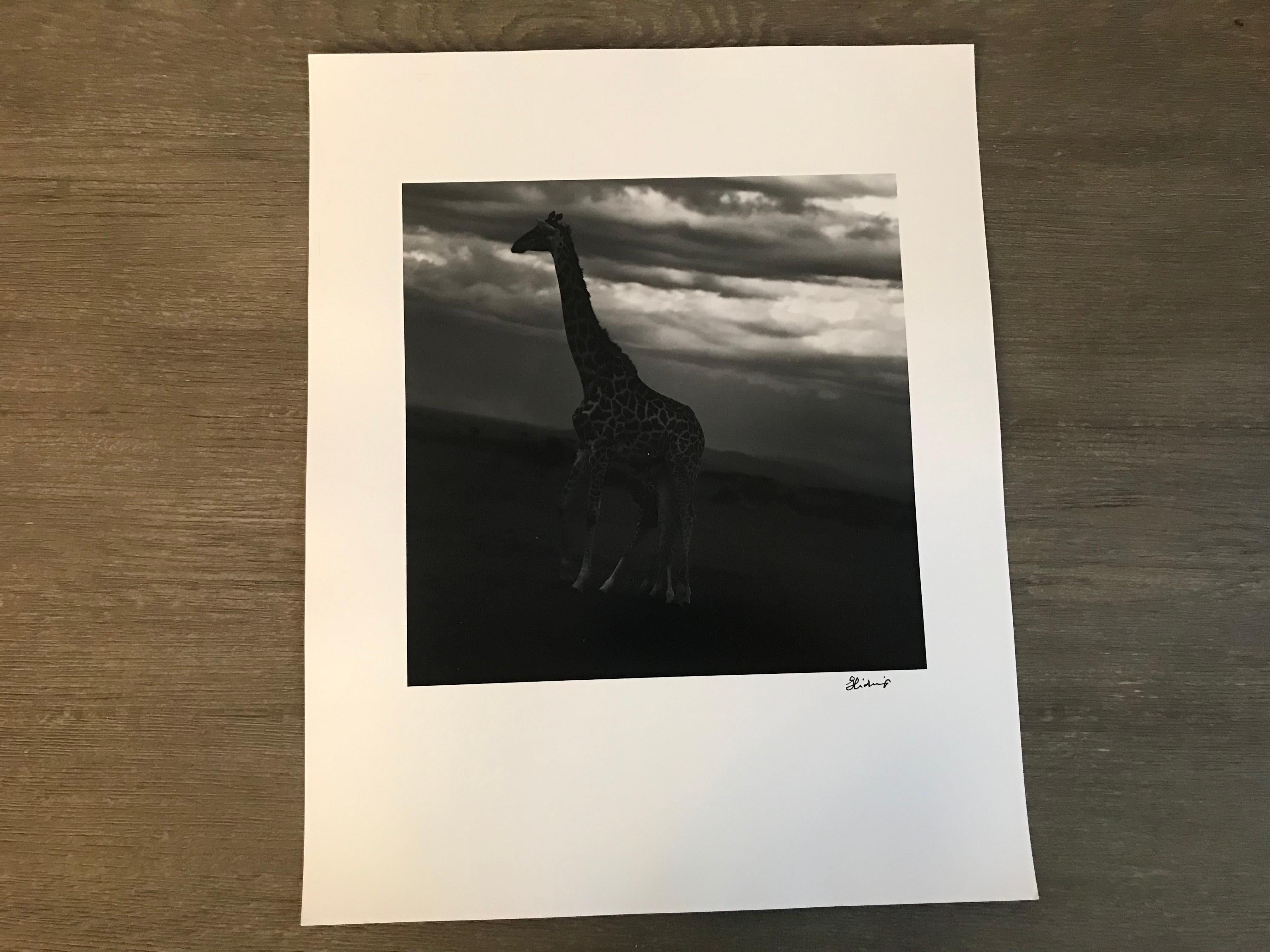 Photos of Hideoki™ are being sold for the first time in 2019. This piece is a one and only original artist silver gelatin print affixed with his signature in front of the photo.                 

