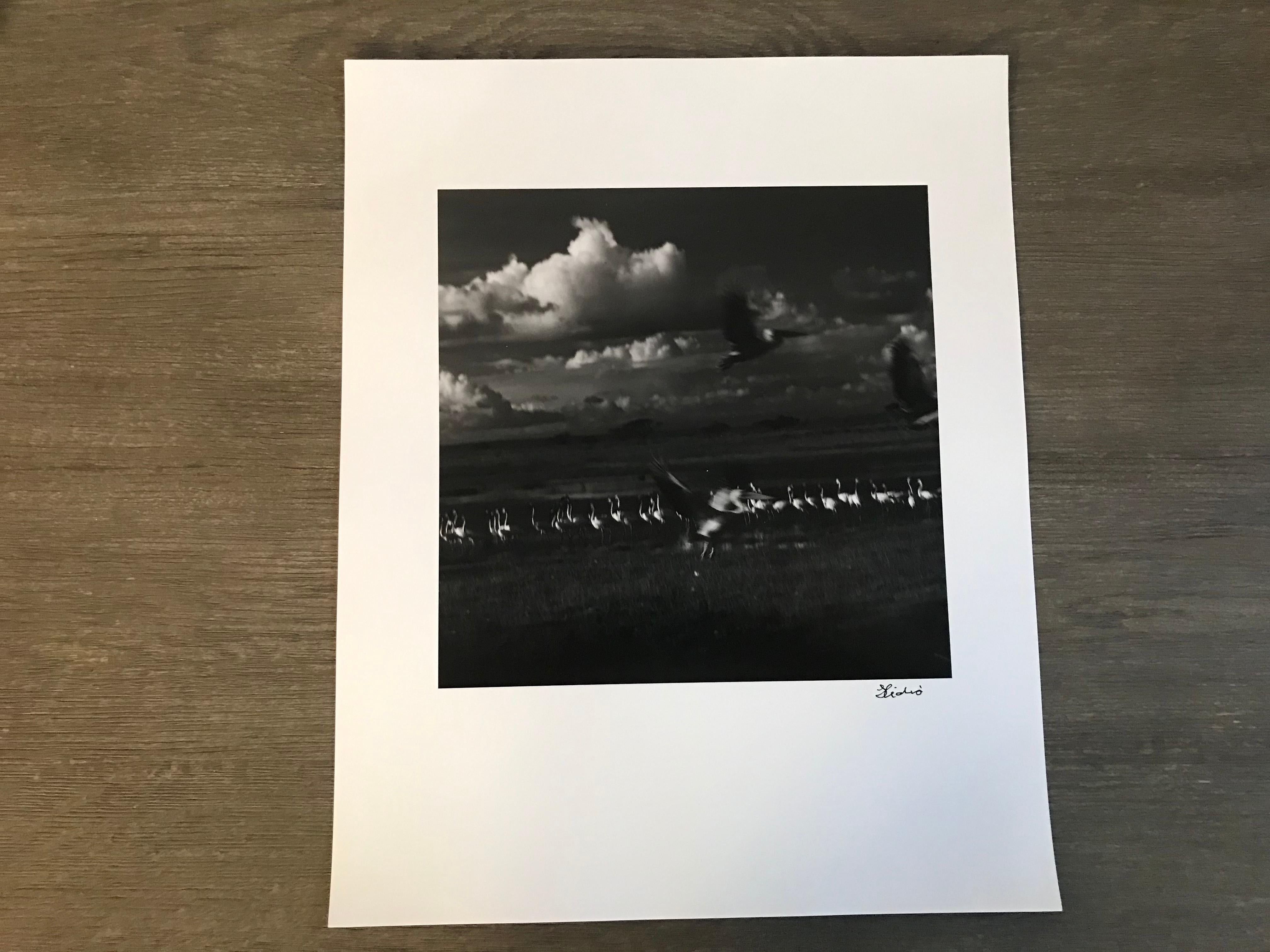 Photos of Hideoki™ are being sold for the first time in 2019. This piece is a one and only original artist silver gelatin print affixed with his signature in front of the photo.

Hideoki was born in 1942 in the mountains of Nagano in Suwa City,
