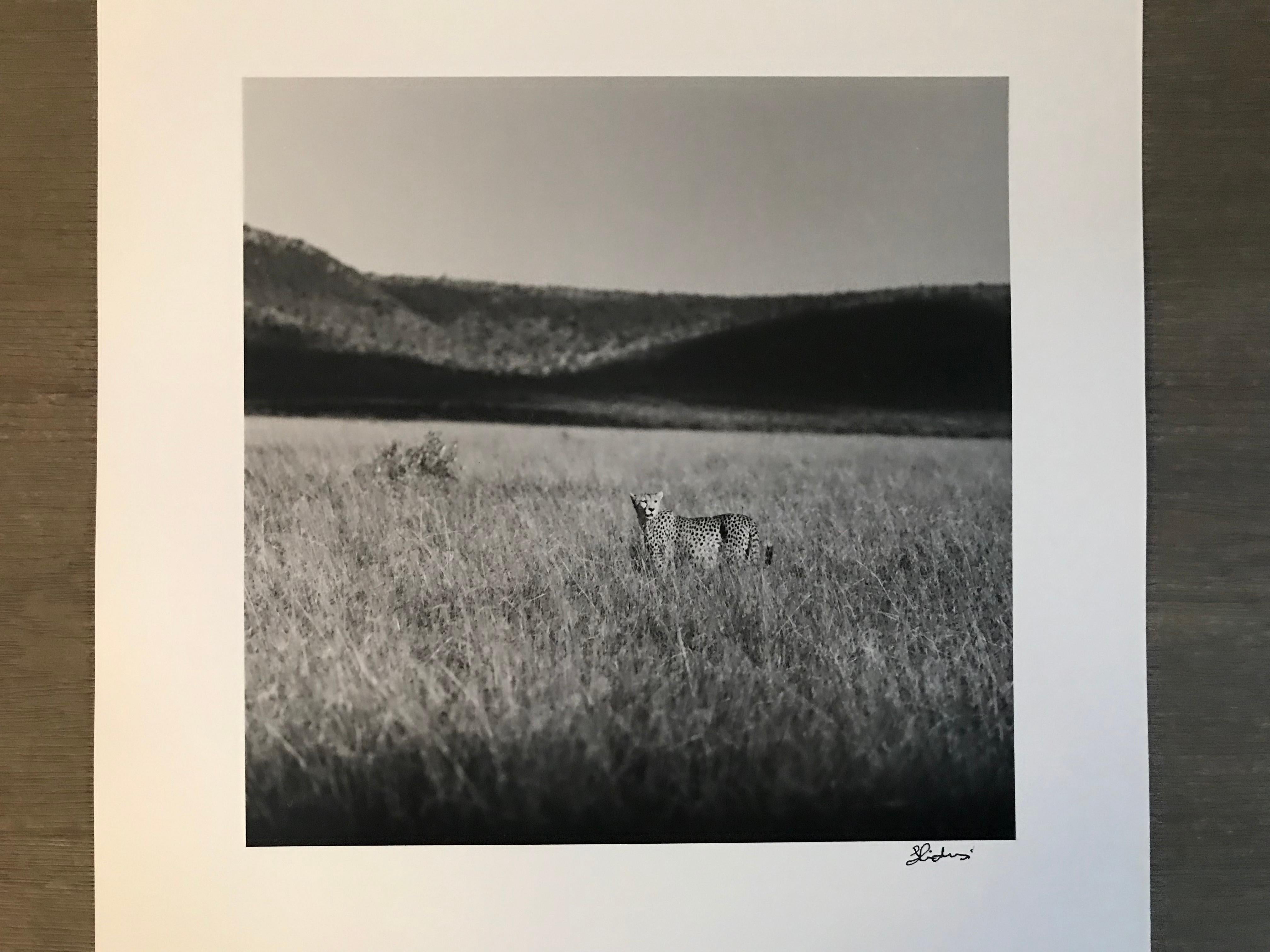 Photos of Hideoki™ are being sold for the first time in 2019. This piece is a one and only original artist silver gelatin print affixed with his signature in front of the photo.                 

