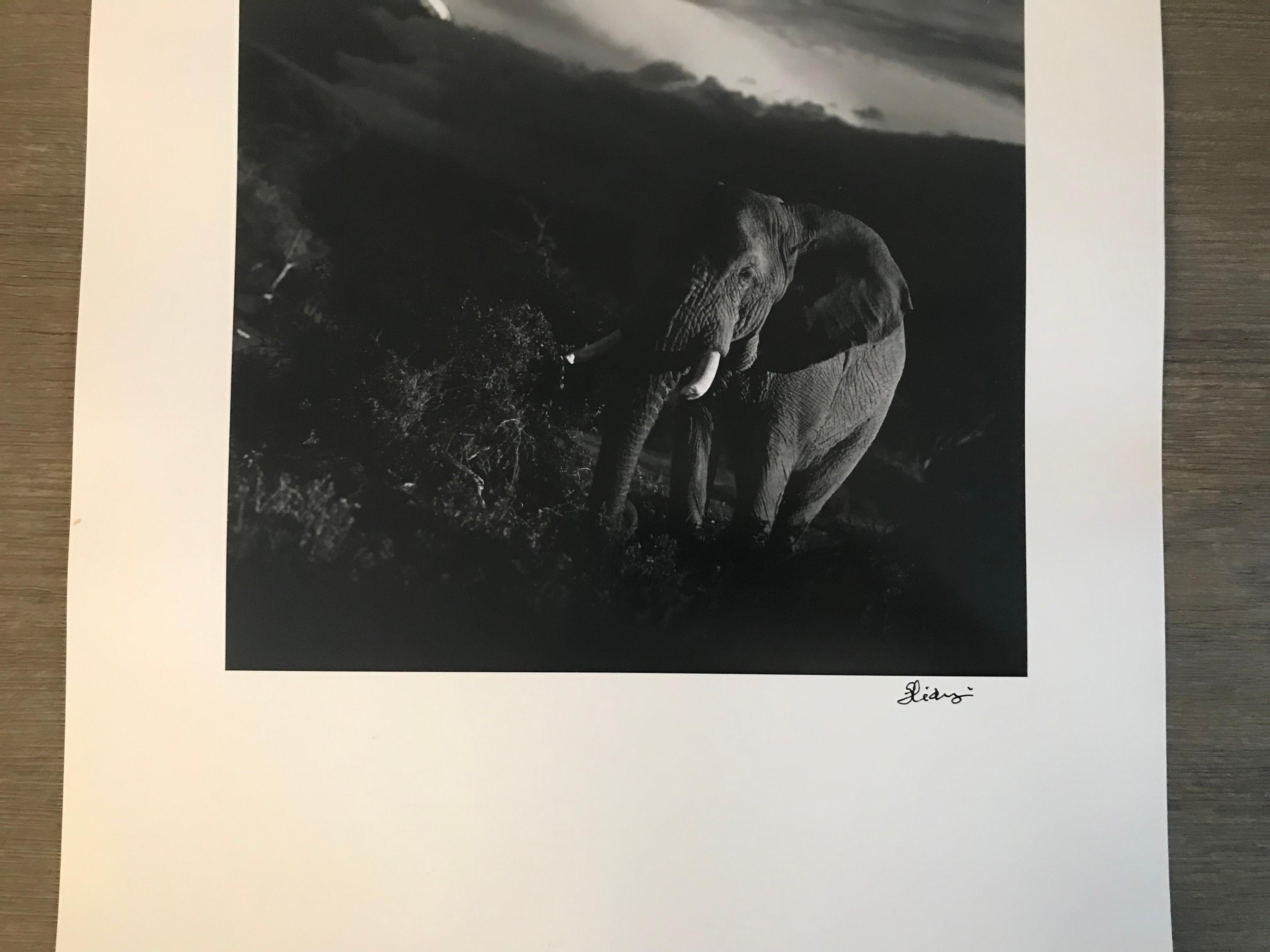 Hideoki, Black & White Photography, Untitled, Tanzania, 1994 For Sale 1