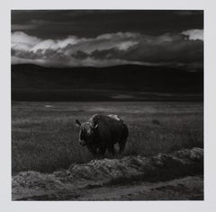 Hideoki Hagiwara - Hideoki, Black
White Photography, Untitled, Tanzania, 1994 Vintage Hideoki, Black
White Photography, Untitled, Tanzania, 1994