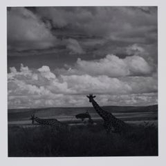 Hideoki Hagiwara - Hideoki, Black
White Photography, Untitled, Tanzania, 1994 Vintage Hideoki, Black
White Photography, Untitled, Tanzania, 1994