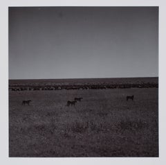 Hideoki Hagiwara - Hideoki, Black
White Photography, Untitled, Tanzania, 1994 Vintage Hideoki, Black
White Photography, Untitled, Tanzania, 1994