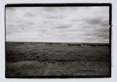 Hideoki Hagiwara - Hideoki, Black
White Photography, Untitled, Tanzania, 1994 Vintage Hideoki, Black
White Photography, Untitled, Tanzania, 1994