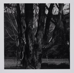 Hideoki Hagiwara - Hideoki, Black
White Photography, Untitled, Tanzania, 1994 Vintage Hideoki, Black
White Photography, Untitled, Tanzania, 1994